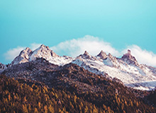 开云：云端之门，企业未来的加速器